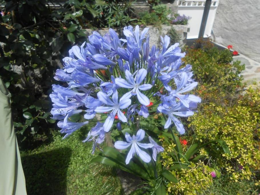 포지리덴티 Casa Colori 빌라 외부 사진